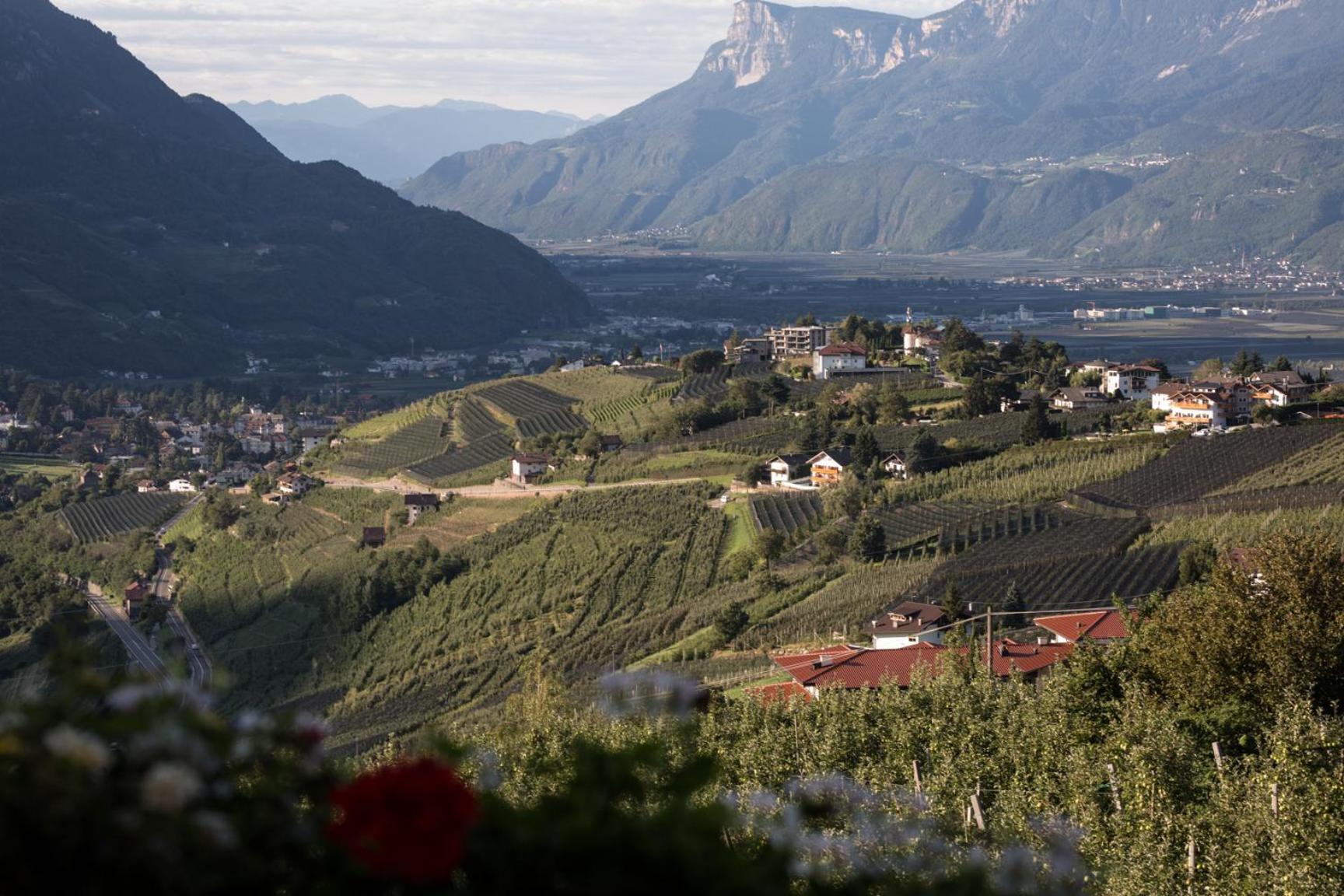 Linghof Bed & Breakfast Tirolo Bagian luar foto